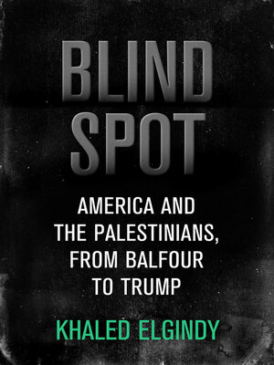 cover image of Blind Spot